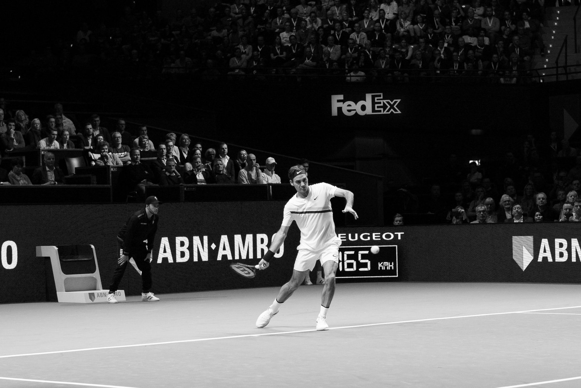 Roger Federer at the ATP Tournament in Rotterdam, 2018